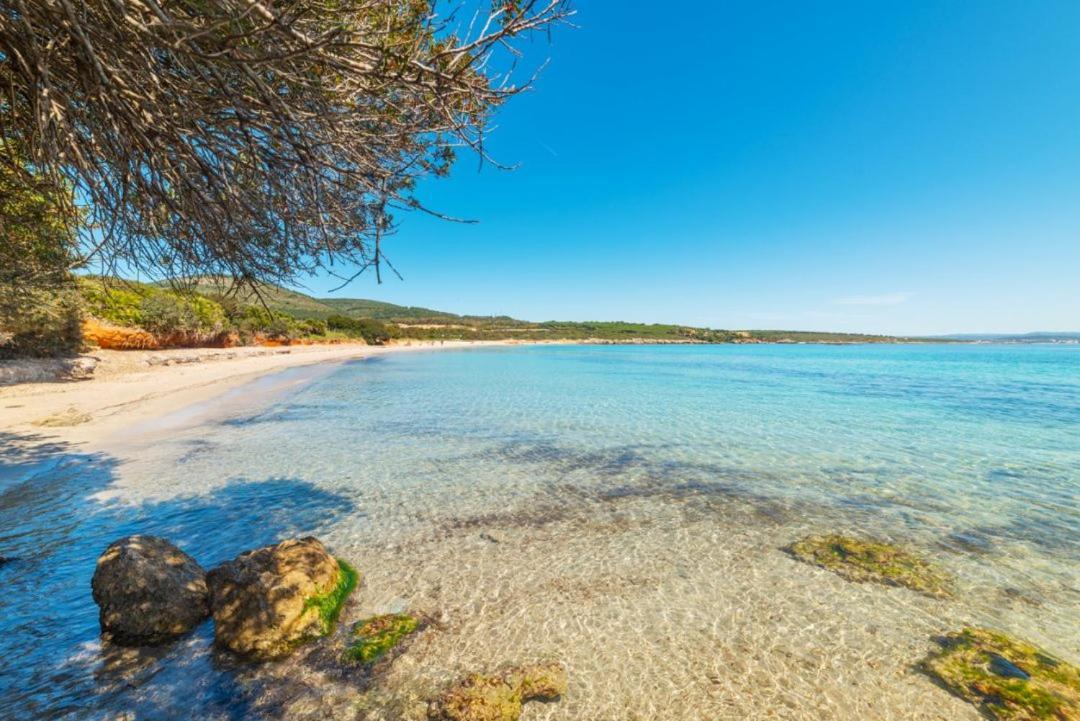 Lo Scrigno Di Ely Apartment Alghero Exterior photo